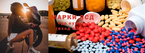 спайс Баксан