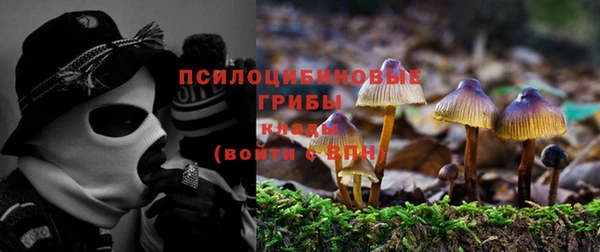 тгк Балабаново