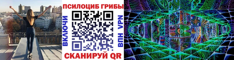 Купить закладки  Лесозаводск  Галлюциногенные грибы Psilocybe 